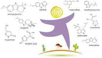 Ibogaine Order